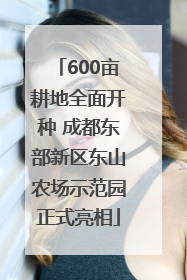 600亩耕地全面开种 成都东部新区东山农场示范园正式亮相