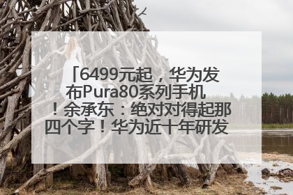 6499元起，华为发布Pura80系列手机！余承东：绝对对得起那四个字！华为近十年研发投入12490亿元