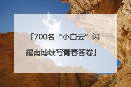 700名“小白云”闪耀南博续写青春答卷
