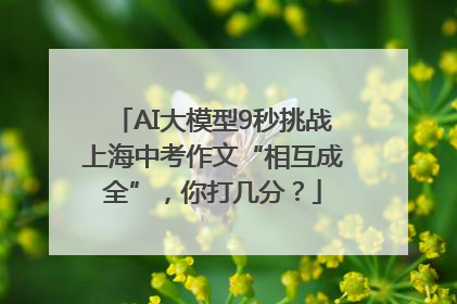 AI大模型9秒挑战上海中考作文“相互成全”，你打几分？