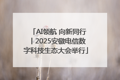 AI领航 向新同行丨2025安徽电信数字科技生态大会举行