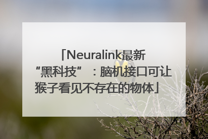 Neuralink最新“黑科技”：脑机接口可让猴子看见不存在的物体